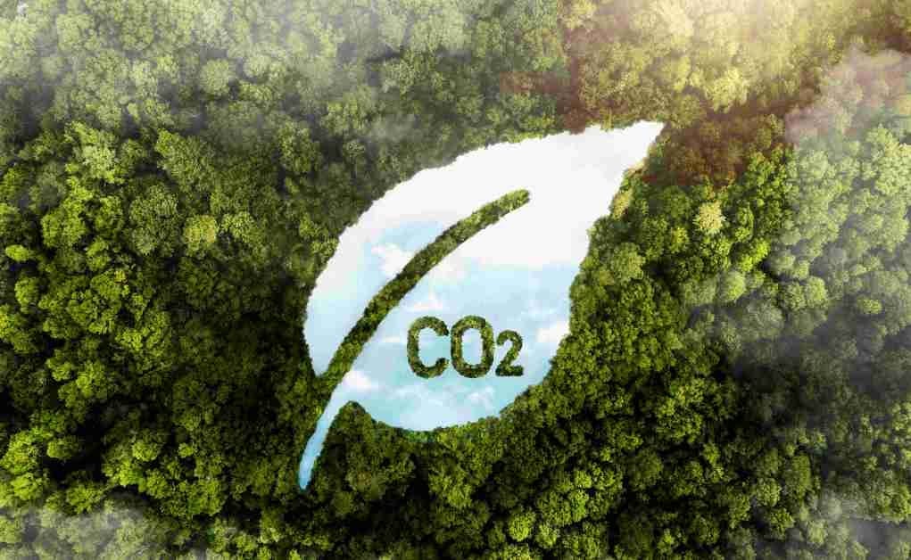 Is investing in carbon credits a viable solution to meet climate targets?