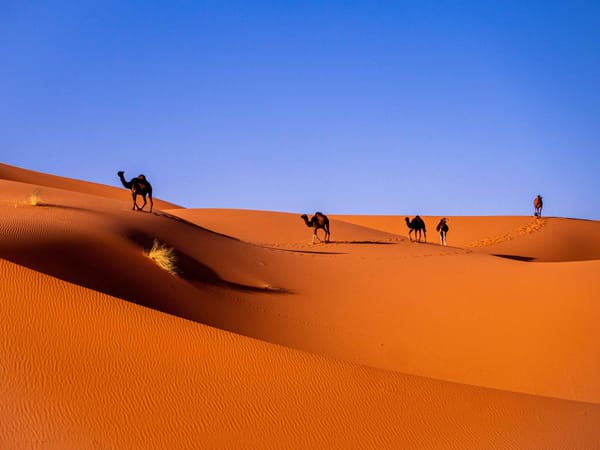Deadly dust from Sahara engulfs Europe: Climate Change warning