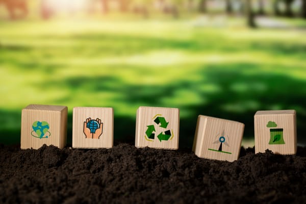 Cradle-to-grave: waste generation due to the linear economy