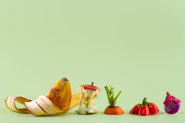 Food Production: can a food waste disposer fight climate change?